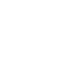 Dynamic Careers
